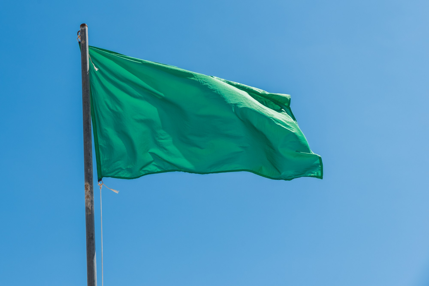 Las green flags del proceso de selección